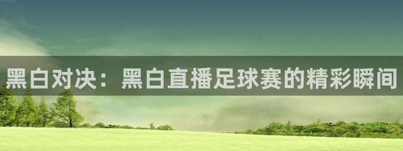 黑白对决：黑白直播足球赛的精彩瞬间