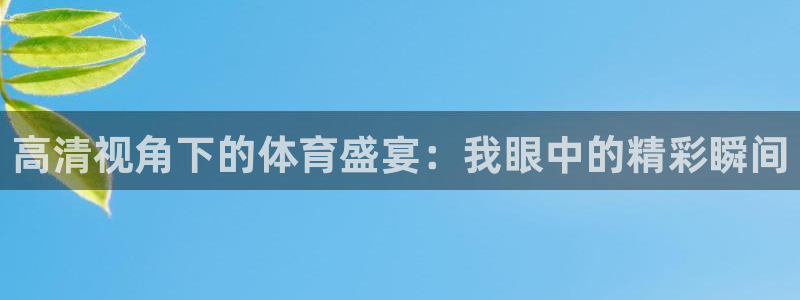 高清视角下的体育盛宴：我眼中的精彩瞬间
