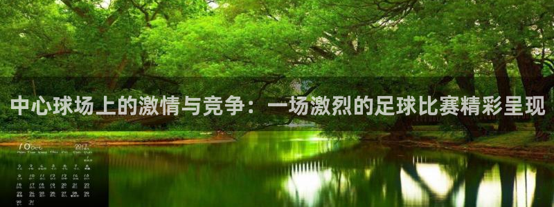 中心球场上的激情与竞争：一场激烈的足球比赛精彩呈现