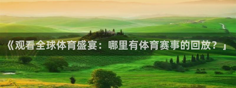 《观看全球体育盛宴：哪里有体育赛事的回放？」
