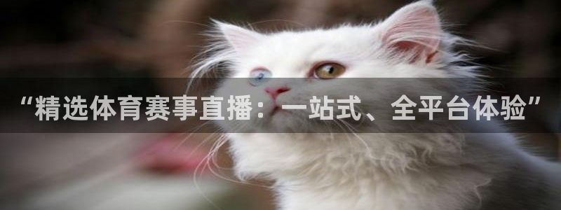 “精选体育赛事直播：一站式、全平台体验”
