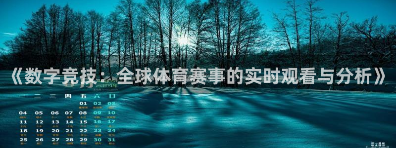 《数字竞技：全球体育赛事的实时观看与分析》