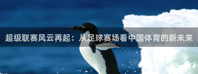 超级联赛风云再起：从足球赛场看中国体育的新未来