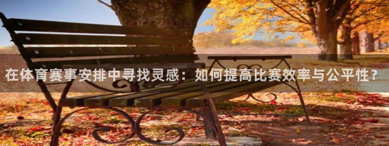 在体育赛事安排中寻找灵感：如何提高比赛效率与公平性？