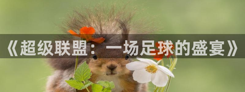 《超级联盟：一场足球的盛宴》