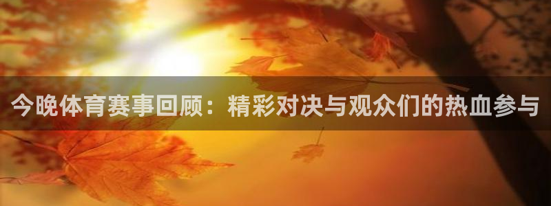 今晚体育赛事回顾：精彩对决与观众们的热血参与