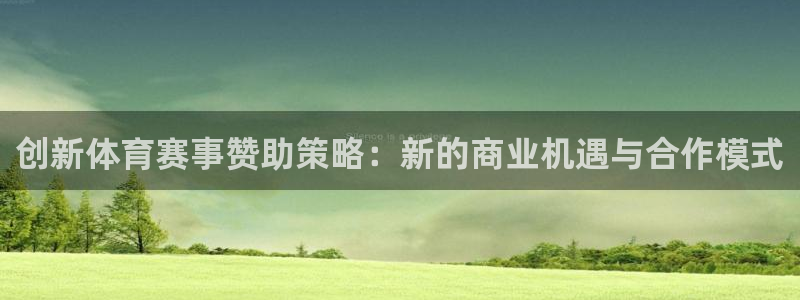 创新体育赛事赞助策略：新的商业机遇与合作模式