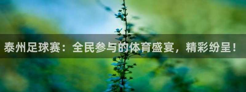 泰州足球赛：全民参与的体育盛宴，精彩纷呈！