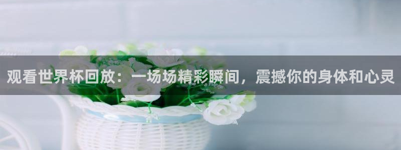 观看世界杯回放：一场场精彩瞬间，震撼你的身体和心灵