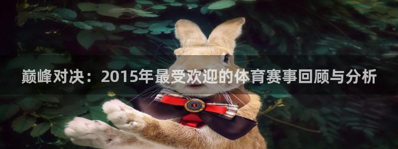 巅峰对决：2015年最受欢迎的体育赛事回顾与分析