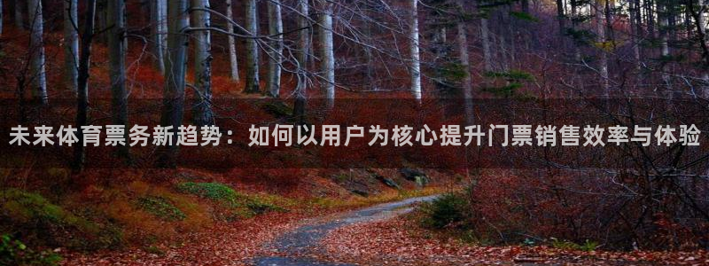 未来体育票务新趋势：如何以用户为核心提升门票销售效率与体验