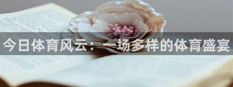 今日体育风云：一场多样的体育盛宴