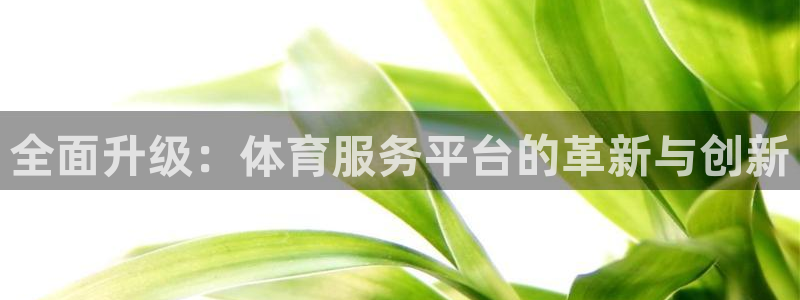 全面升级：体育服务平台的革新与创新