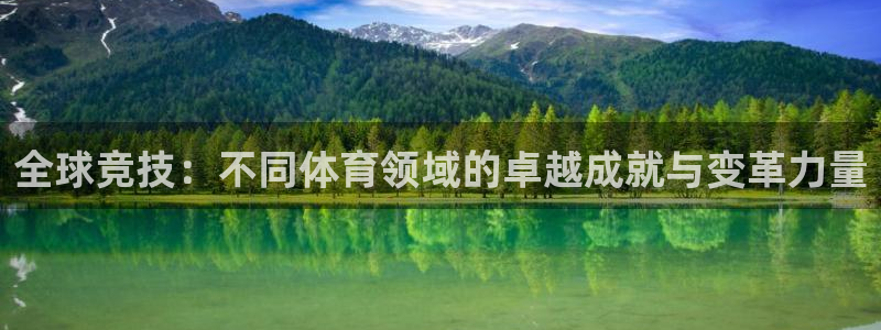 全球竞技：不同体育领域的卓越成就与变革力量