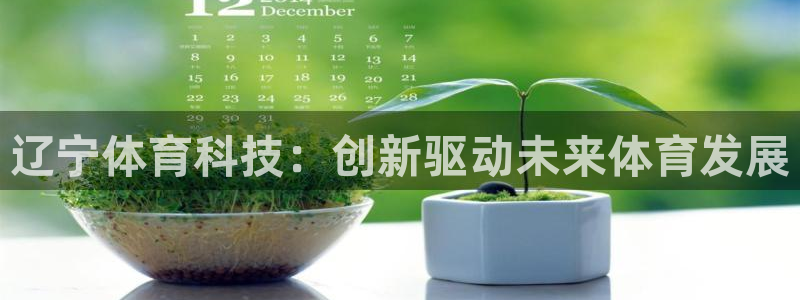 辽宁体育科技：创新驱动未来体育发展