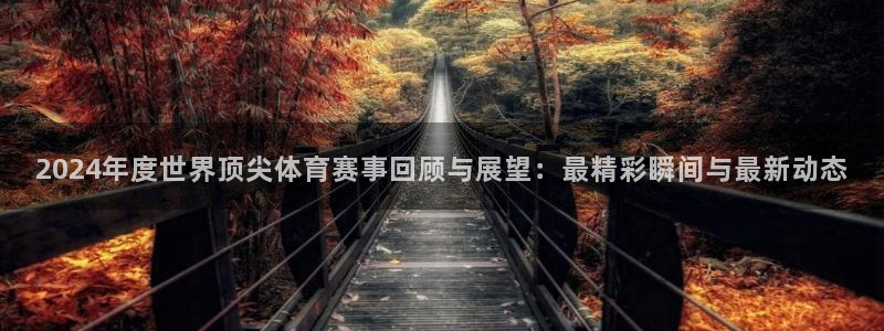 2024年度世界顶尖体育赛事回顾与展望：最精彩瞬间与最新动态