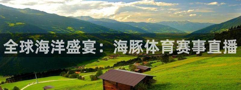 全球海洋盛宴：海豚体育赛事直播
