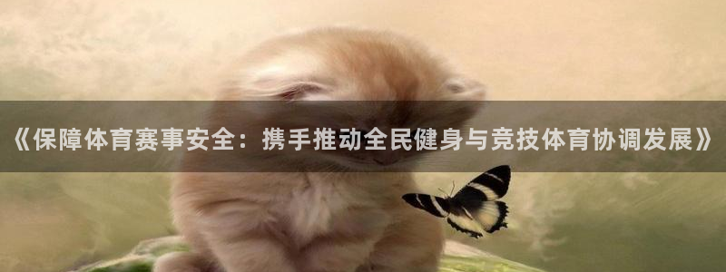 《保障体育赛事安全：携手推动全民健身与竞技体育协调发展》